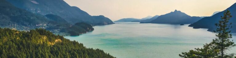 Employee Portal True North Supports